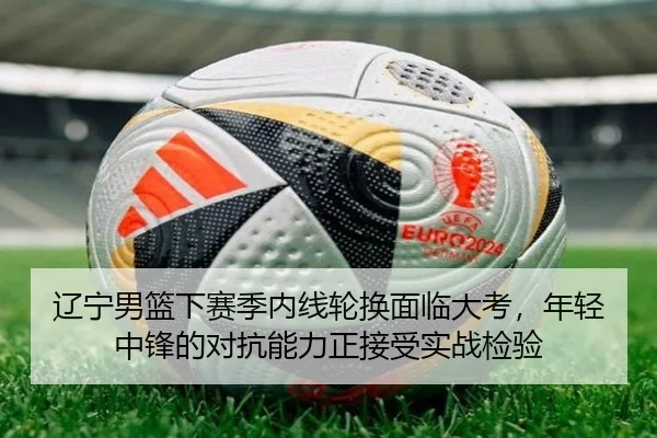 辽宁男篮下赛季内线轮换面临大考，年轻中锋的对抗能力正接受实战检验